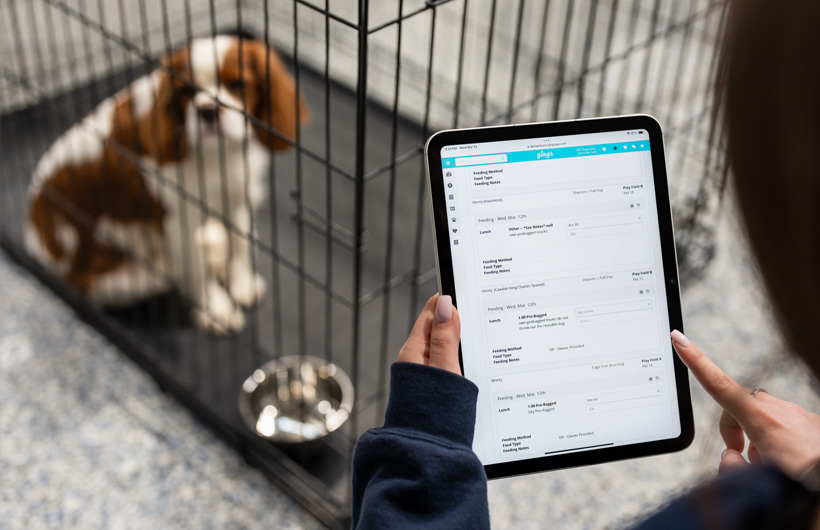 Les personnes qui s’occupent des animaux peuvent mettre à jour en temps réel des données telles que la nourriture et les médicaments dans Gingr, une app de gestion des services aux animaux de compagnie.
