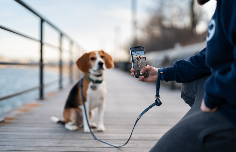 L’excellence de la caméra d’iPhone rehausse la qualité des fiches destinées aux propriétaires d’animaux.
